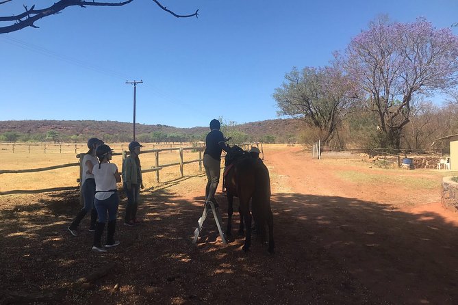 Horse Riding Safari From Johannesburg - Discover the Wildlife of Johannesburg