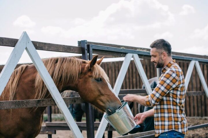 Horse Riding Through the Valleys + Food Tasting - Reservation Information