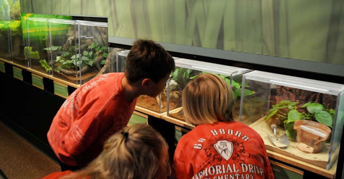 Houston Museum of Natural Science: Cockrell Butterfly Center - Experience Highlights