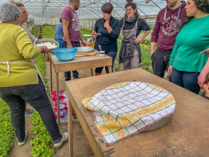 Ioannina: East Zagori Farming Experience & Cooking Class - Experience Highlights