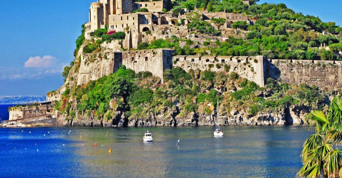 Ischia Island Discovery & Food Tour From Sorrento - Culinary Delights