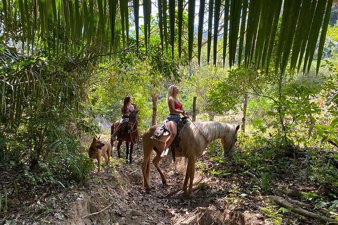 Jalisco Private Horseback Riding Tour  - Mismaloya - Inclusions & Policies