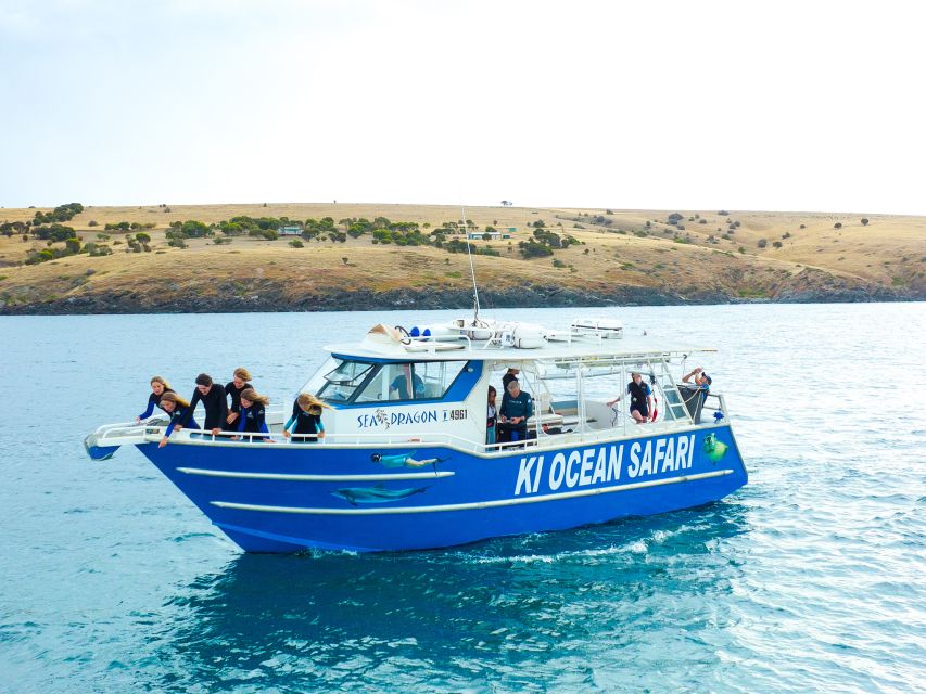 Kangaroo Island: Dolphin, Seal, and Swimming Boat Tour - Experience Highlights