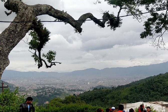 Kathmandu: Day Hiking Around Kathmandu Valley - Local Flora and Fauna Encounters