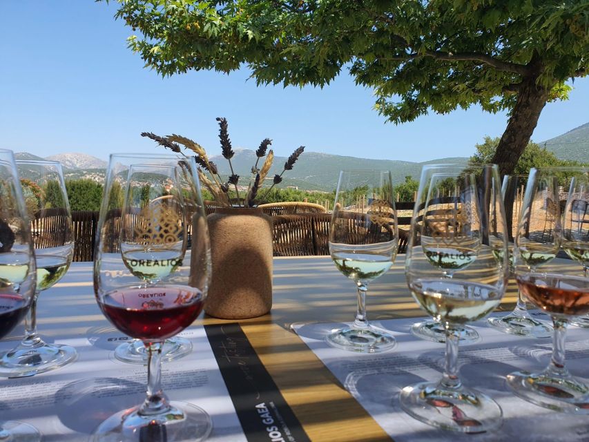 Kefalonia Wine Adventure in 3 Wineries With Tastings - Winery 1: Gentilini Winery & Vineyards