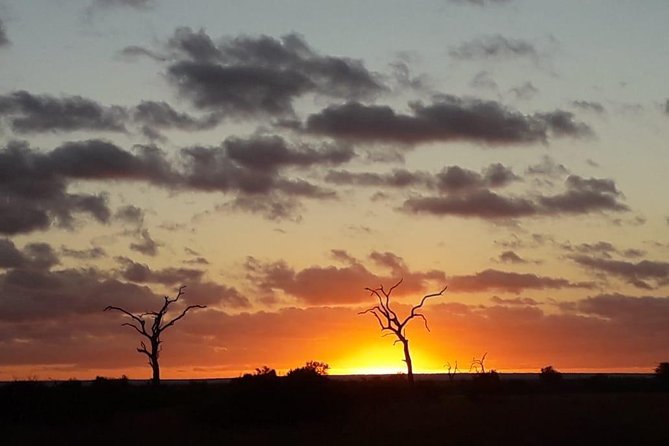 Kruger National Park Night Safari Minimum 4people - Last Words