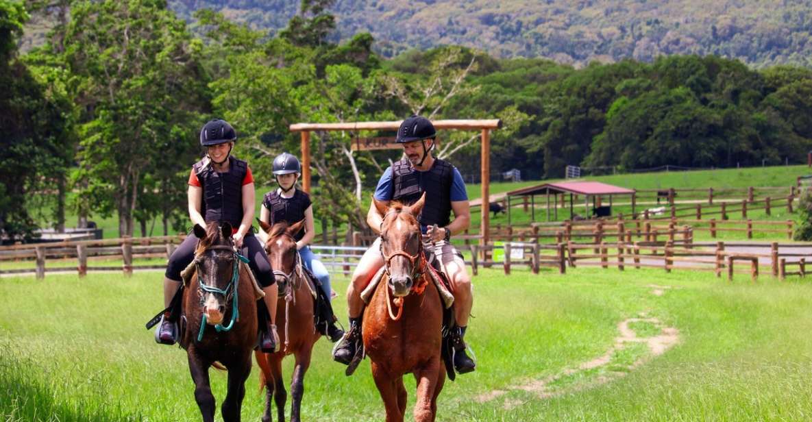 Kuranda Half Day With Petting Zoo & Horse Trail Ride Tour - Price and Duration Details