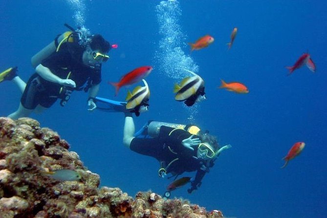 Kusadasi Beginner'S Scuba Dive W/Boat Ride & Lunch - Dive Depth and Duration Details