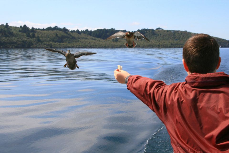 Lake Taupo: Māori Rock Carvings Scenic Boat Cruise - Review Summary