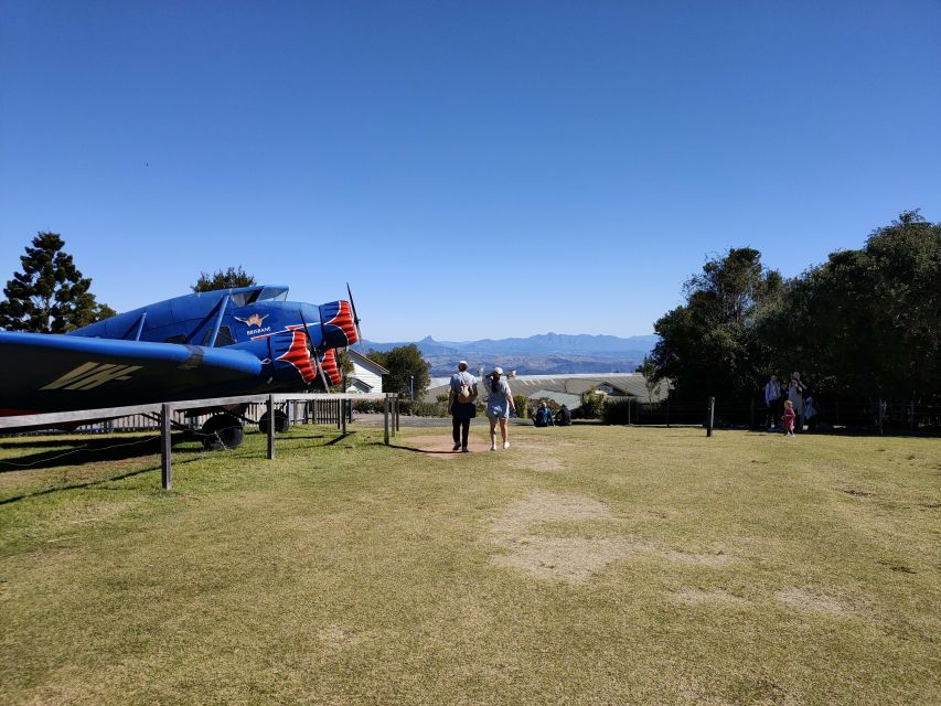 Lamington National Park, OReillys and Vineyard Tour - Activity Description