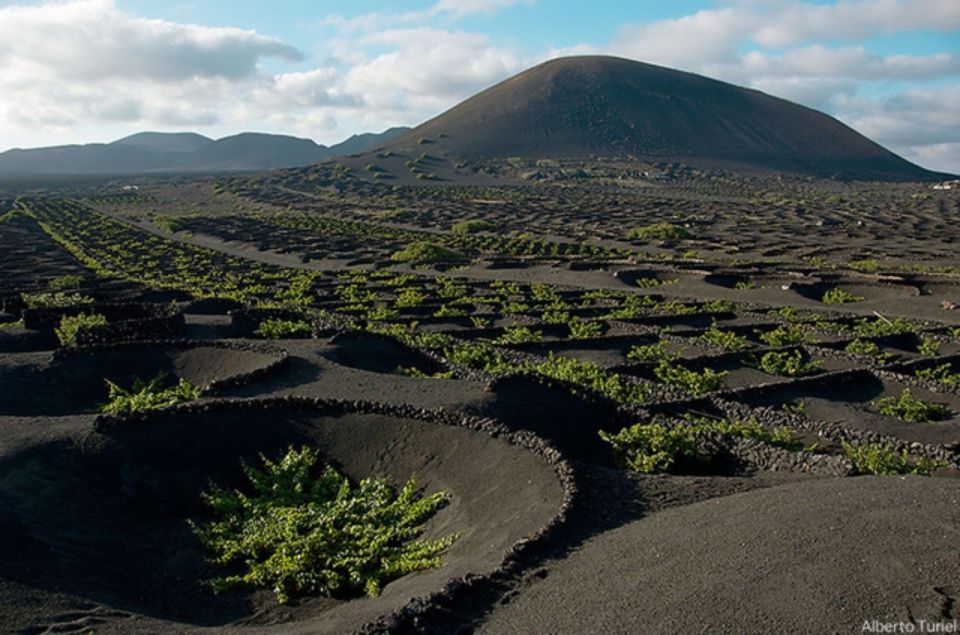 Lanzarote: Full Day Bus Tour With Scenic Views - Pickup Locations and Cancellation Policy