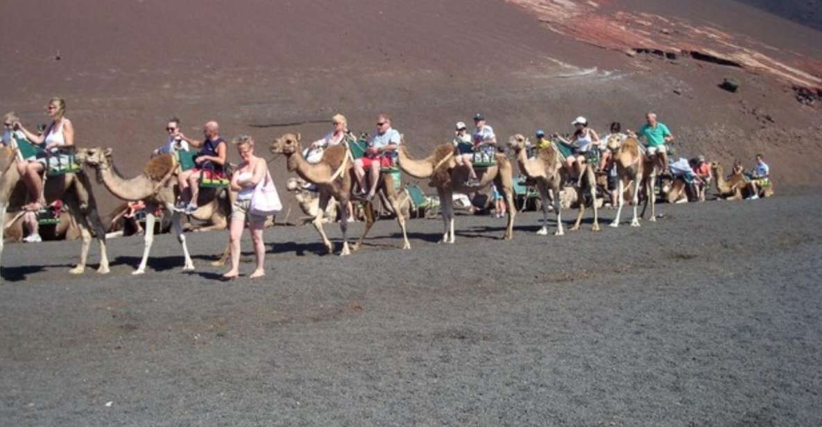 Lanzarote: Timanfaya National Park Tour - Duration and Language