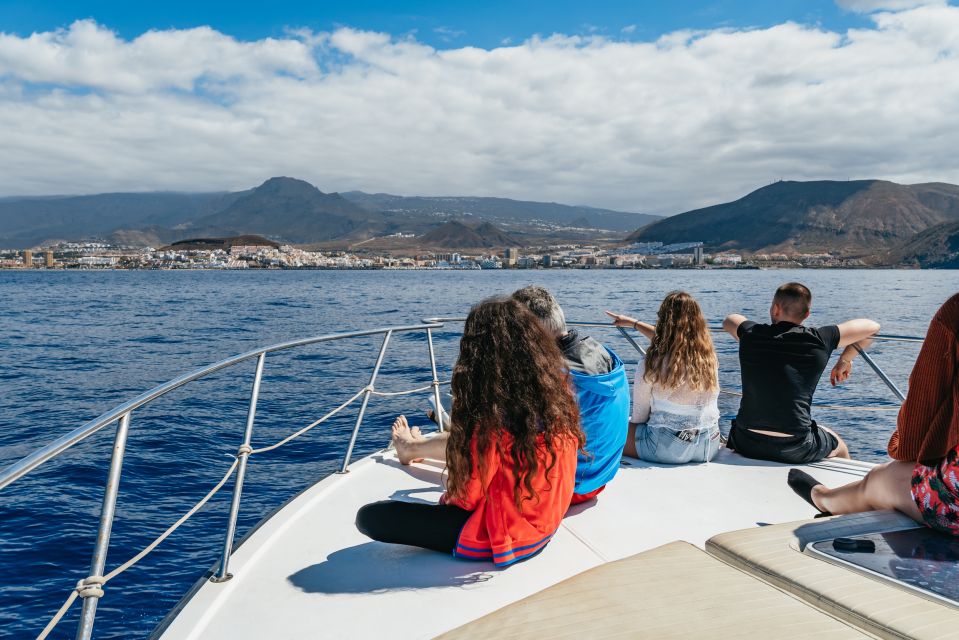 Las Galletas: Whale & Dolphin Tour With Local Skipper - Last Words