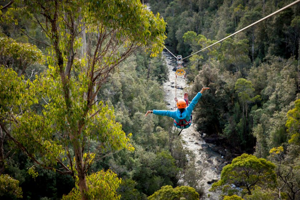 Launceston: Hollybank Forest Treetop Zip Lining With Guide - Booking Information