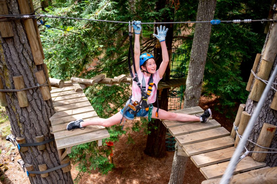 Launceston: Hollybank Tree Ropes Course - Description