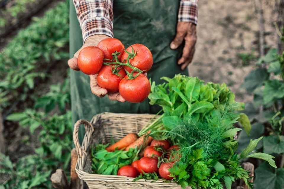 Learn to Cook Authentic Corfu Recipes With a Local Cook - Cooking Rituals and Celebrations