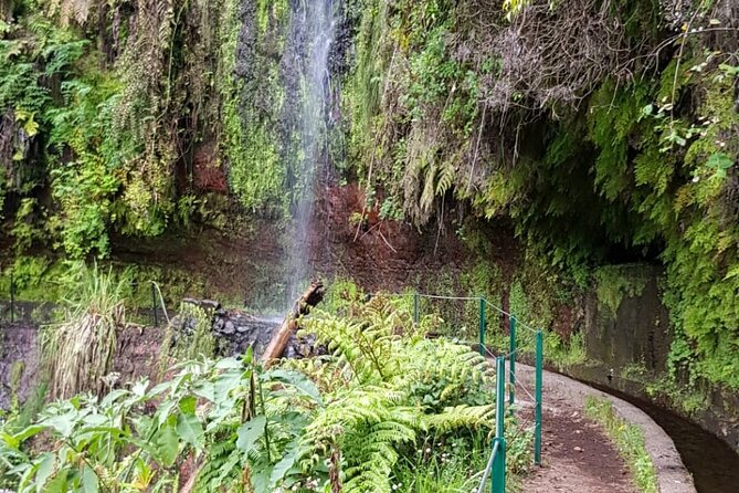 Levada Do Rei - Ribeiro Bonito (Full Day Walk) - General Information