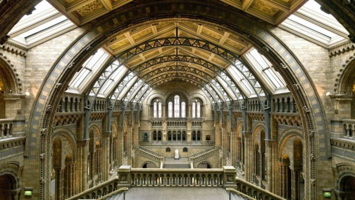 London: Natural History Museum Tour - Inclusions