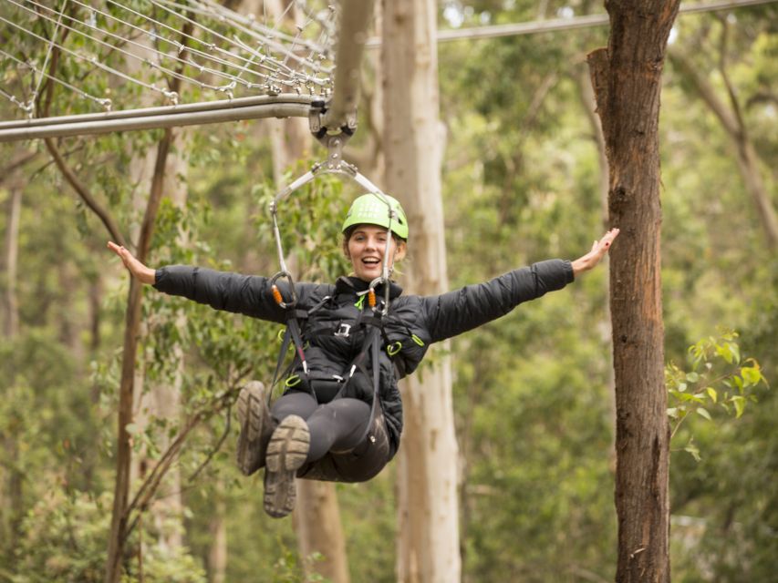 Lorne: Live Wire Park Ticket With Zip Line Rollercoaster - Highlights