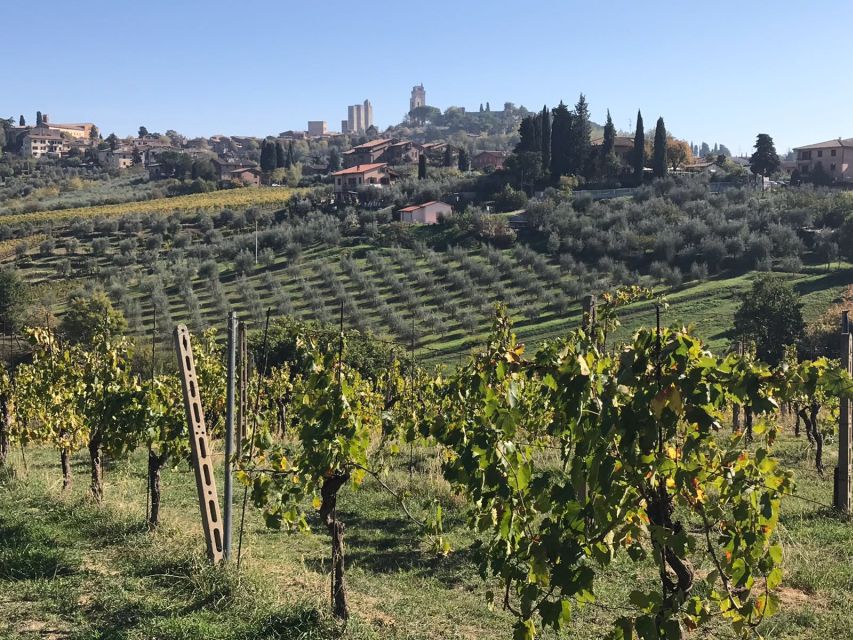 Lucca Private Day Tour to Chianti and San Gimignano - Highlights