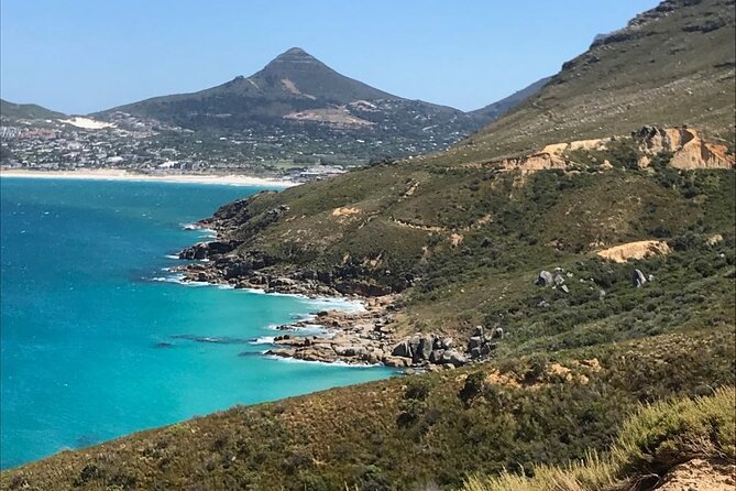 Magnificent Cape Peninsula Private Tour - Itinerary Details