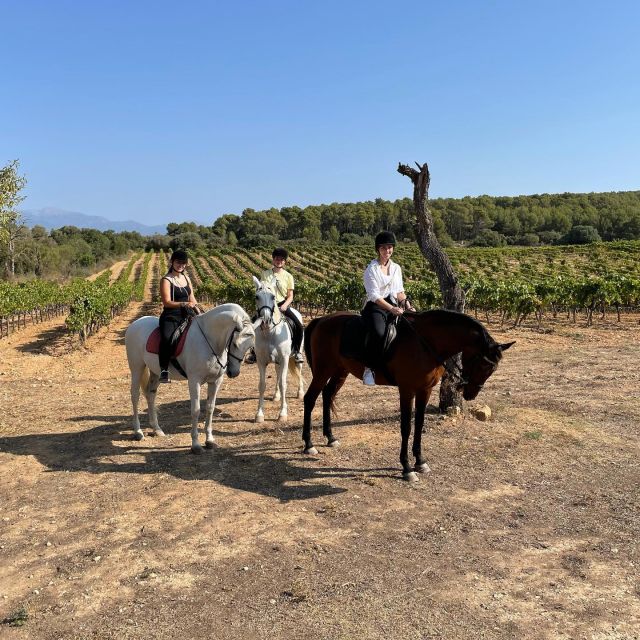 Mallorca: Activity With Horses, Antique Mallorca - Booking Information and Flexibility