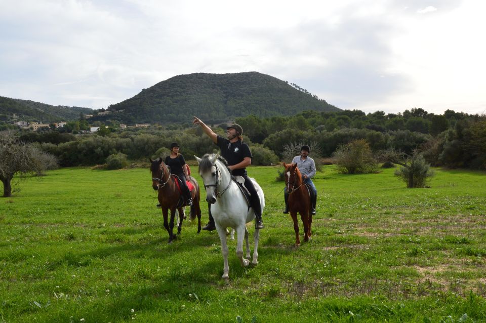 Mallorca: Mallorca Sunset, Randa Valley. - Experience Highlights