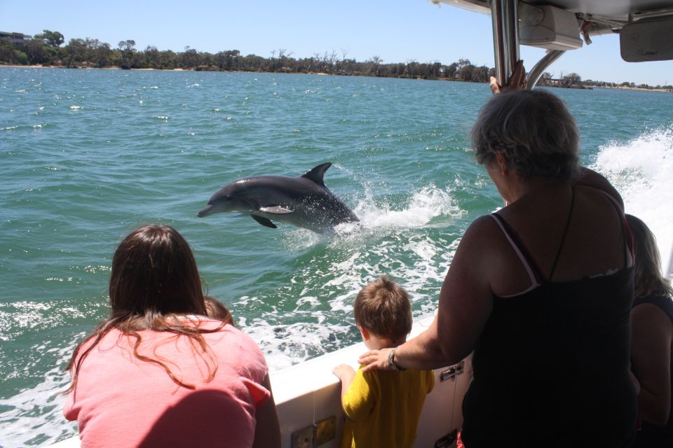 Mandurah: Dolphin and Views Cruise With Optional Lunch - Inclusions