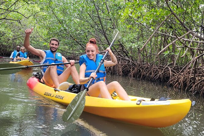 Mangrove Jungle Exploration on SUP/Kayak - How to Choose Between SUP and Kayak