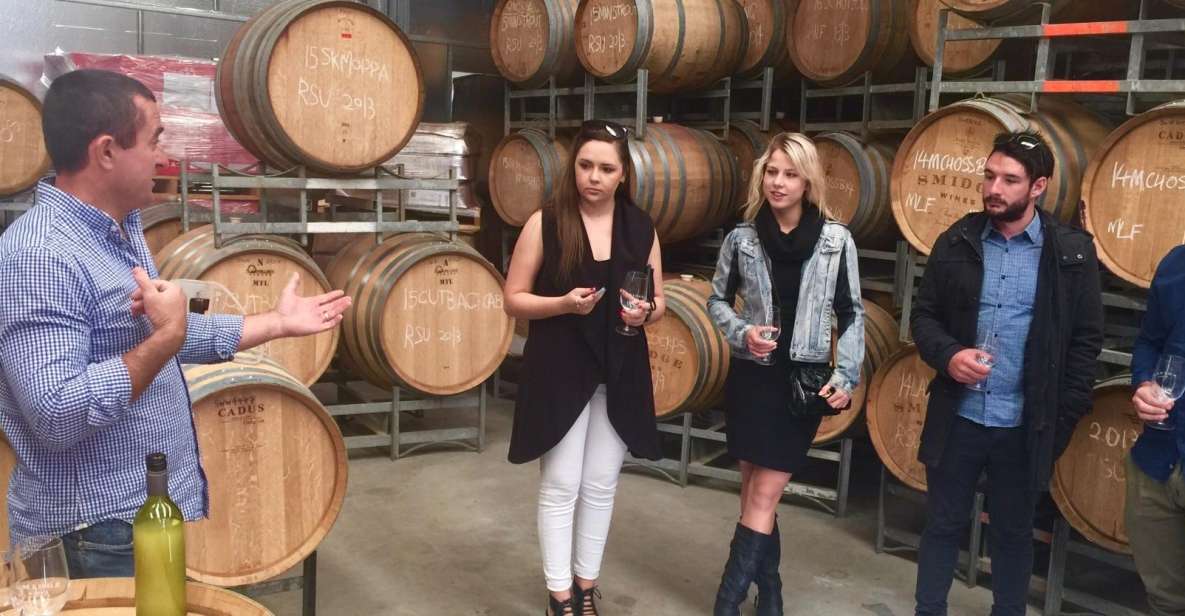 McLaren Vale: Small Group Wine Tour (Includes Lunch) - Tour Highlights