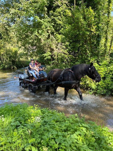 MENTHEVILLE : Horse Cariage Ride in Coutryside - Experience Highlights