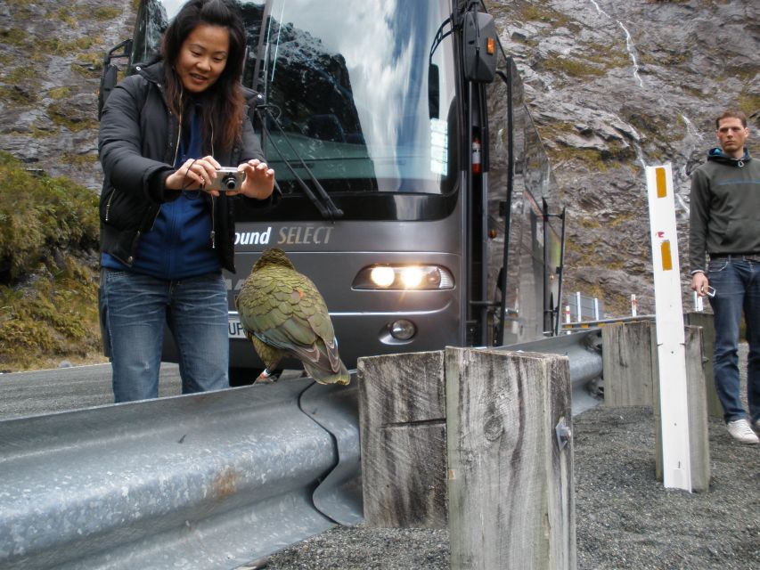 Milford Sound Premium Day Tour and Cruise From Te Anau - En Route Stops and Window Seating