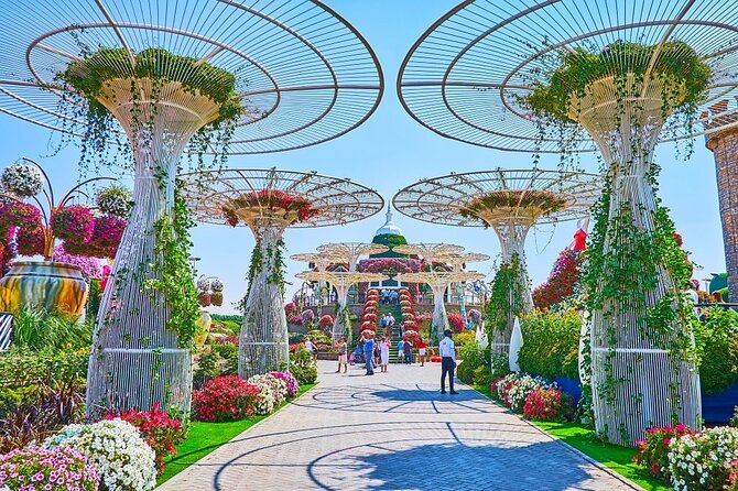 Miracle Garden Dubai Tour From Abu Dhabi With Private Transfers - What To Expect