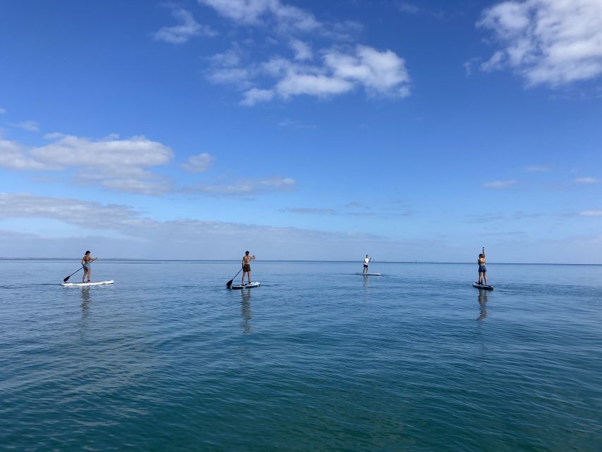 Mornington Peninsula: SUP, Hike, & Hot Springs Trip W/ Lunch - Highlights