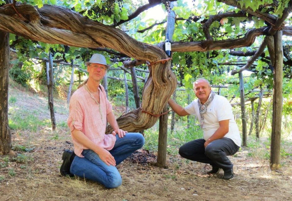 Mountains and Vineyards: the Secrets of the Coast in Calesse - Cultural Richness of Amalfi Coast