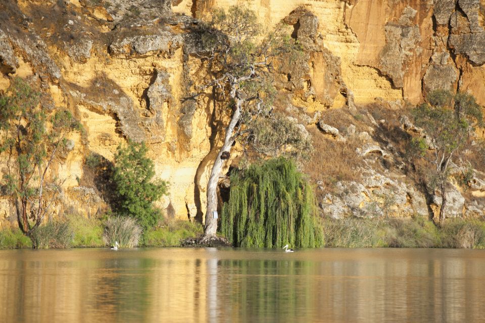 Murray River Highlights and Luncheon Cruise - Inclusions and Experiences