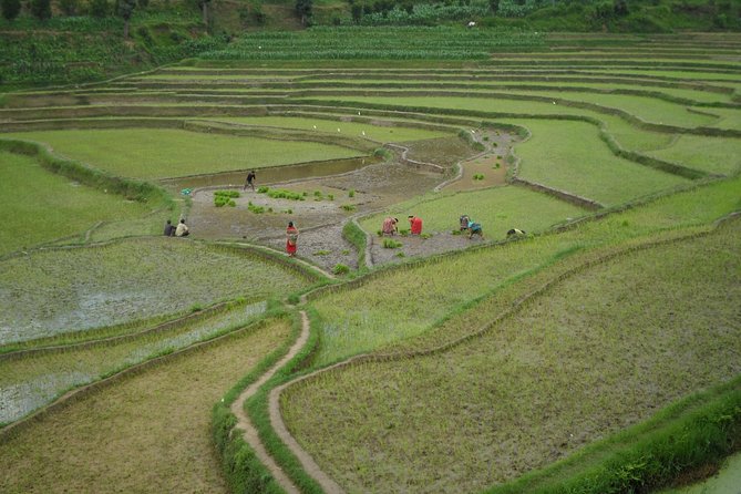 Namobuddha- Panauti Hike With Stop at Dhulikhel - Scenic Highlights