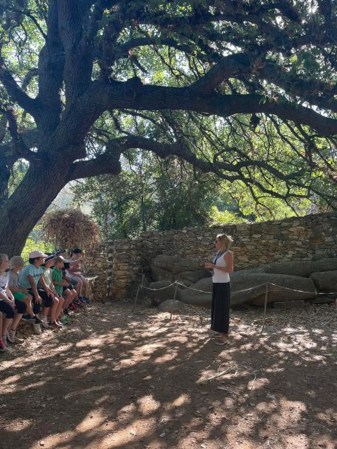 Naxos: Cultural Treasures & Local Villages Guided Tour - Activity Provider and Highlights