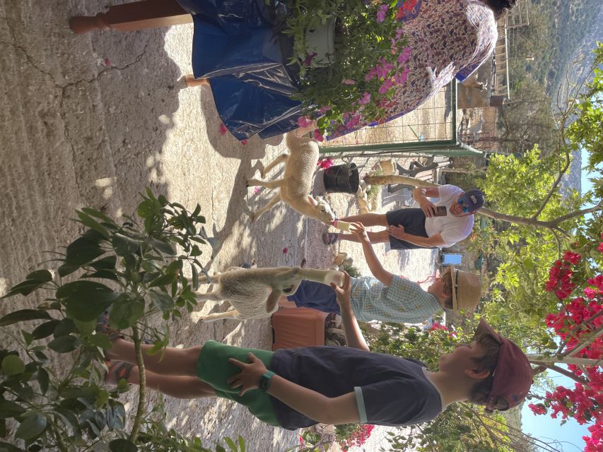 Naxos: Private Half-Day Family-Friendly Tasting Tour - Tour Duration