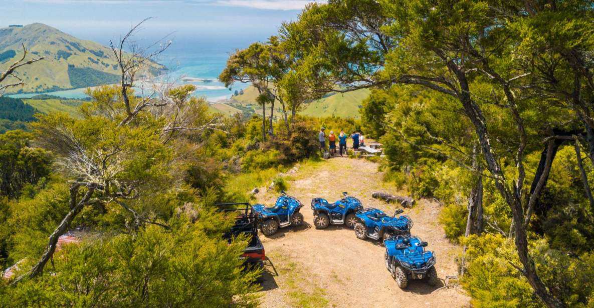 Nelson: Guided Quad Biking Tour Through Forest and Farmland - Reserve Now, Pay Later Option