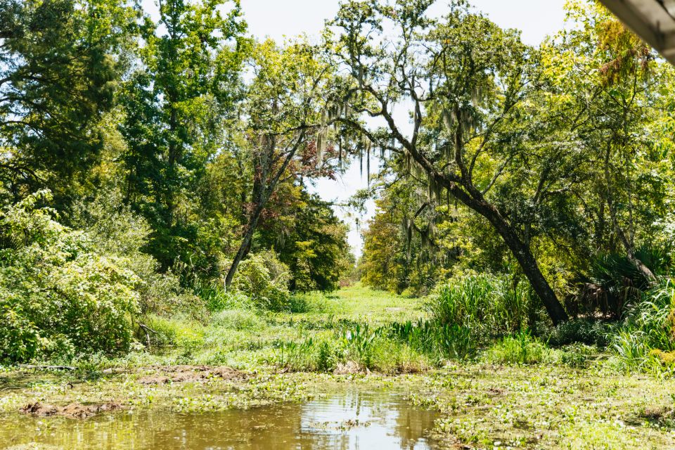New Orleans: Bayou Tour in Jean Lafitte National Park - Experience Highlights