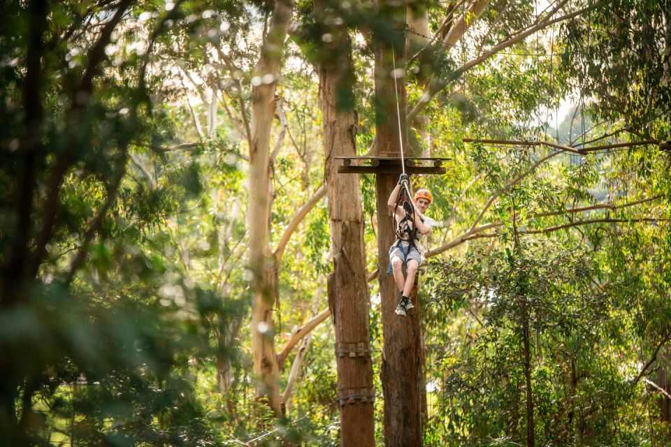 Newscastle: Australian Tree Ropes Course Adventure - Booking Information