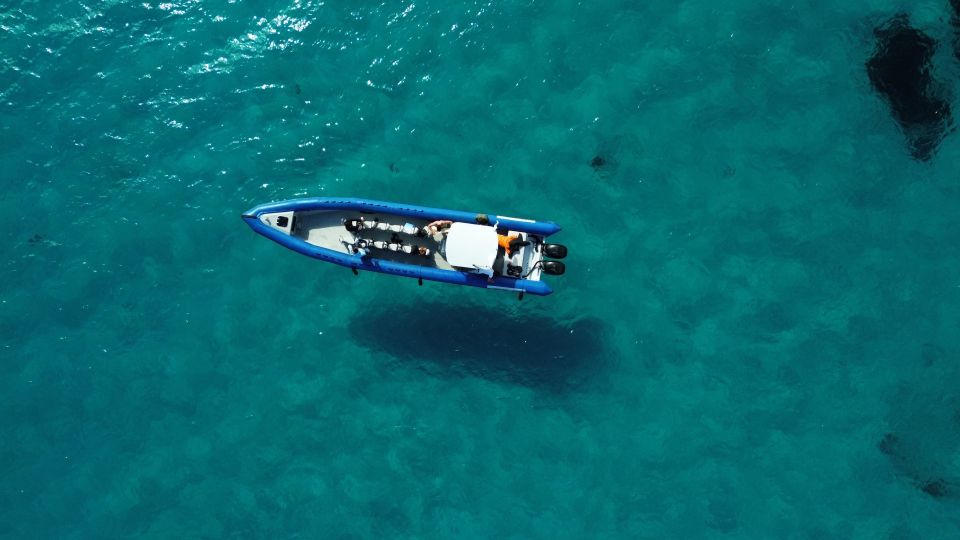 Nice: Lerins Islands Boat Tour With Snorkeling - Activity Highlights