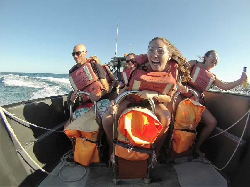 Noosa Heads: Ocean Adventure & Dolphin Safari - Highlights