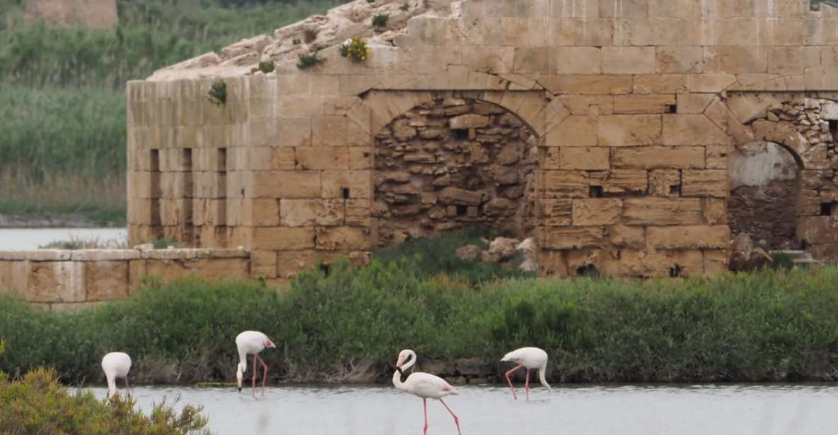 Noto: Guided Trekking and Birdwatching at Vendicari Reserve - Duration and Languages Offered