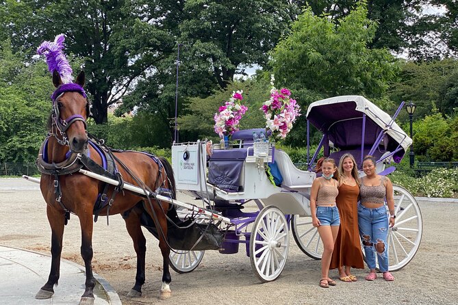 NYC Central Park Horse Carriage Rides - Scheduling and Duration Information