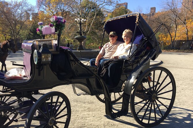 NYC Central Park VIP Horse and Carriage Ride - Tour Overview and Inclusions