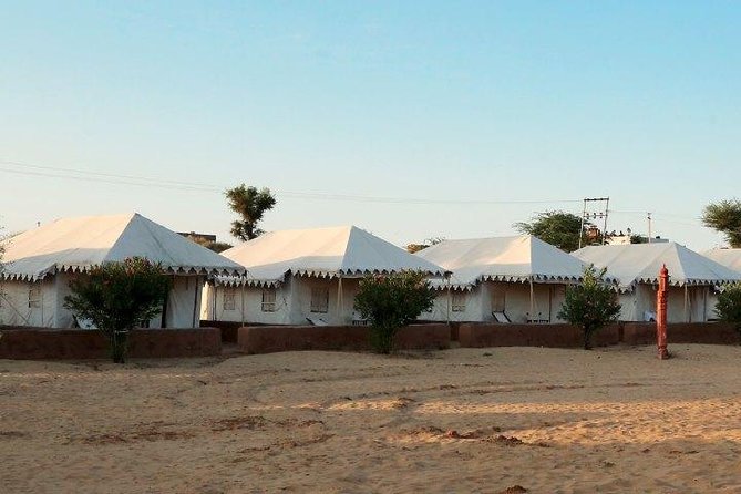 Overnight Camping With Camel Safari In Jodhpur - Reviews and Ratings