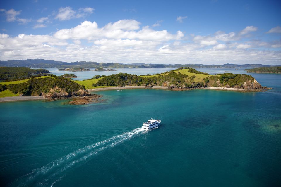 Paihia/Russell: Hole in the Rock and Bay of Islands Cruise - Experience Highlights