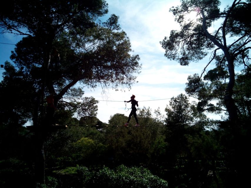 Palma: Family or Sports Course Adventure at Forestal Park - Course Options and Features